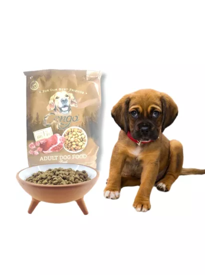CANGO KÖPEK MAMASI 1KG